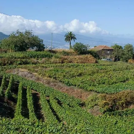 Сasa de vacaciones Preciosa Casa Tfe Norte, A 12km Puerto De La Cruz La Matanza De Acentejo